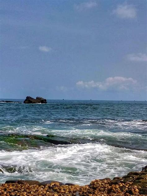 12 Mangalorean dishes every foodie should try | Times of India