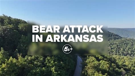 Full interview | Arkansas Game and Fish Commission discusses suspected ...