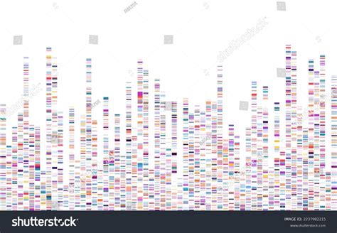 Dna Test Infographic Genome Sequence Map Stock Vector (Royalty Free ...