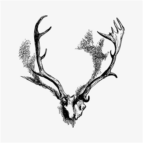 Image result for WP Spring Code
