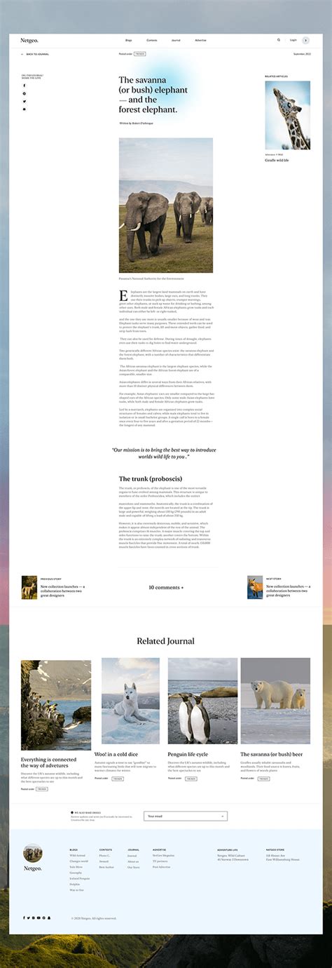 Image result for Blog Application Project