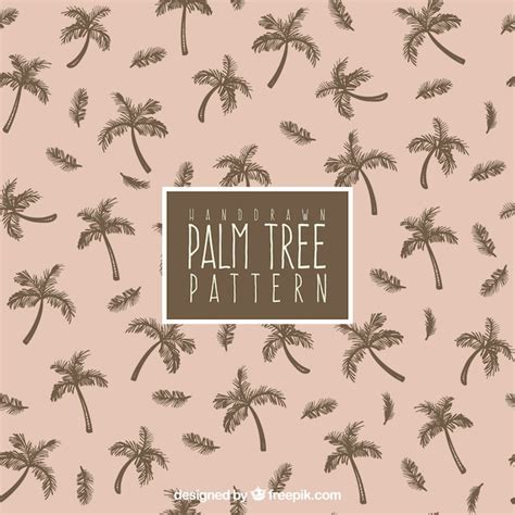 Decorative pattern with hand-drawn palm trees | Free Vector