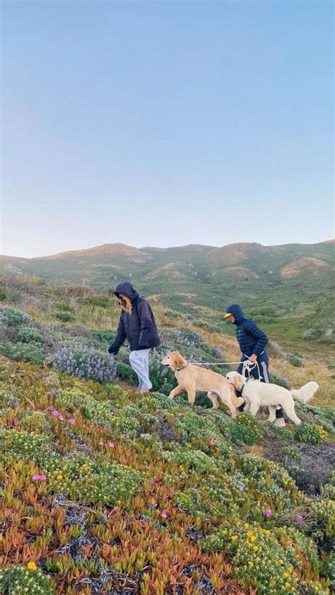 Travel Aesthetic Images 的图像结果