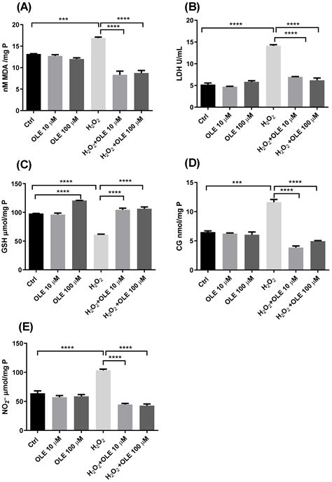 Oleuropein Attenuates Oxidative Stress in Human Trophoblast Cells