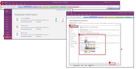 OneNote Customize 的图像结果