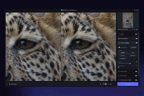 Topaz AI Tutorial 的图像结果