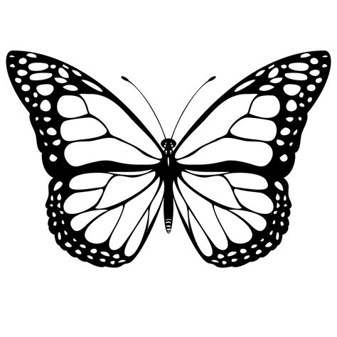 Simple Butterfly Outline - ClipArt Best