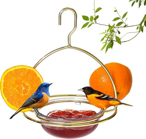 Amazon.com : SkyCafe Oriole Feeder, Squirrel-Proof, Large Bird Feeder ...