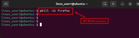 Pkill Command in Linux 的图像结果