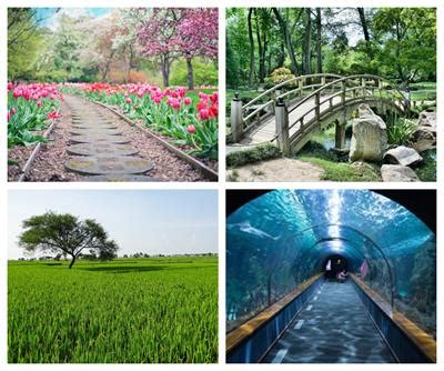 Classification of ecosystems — lesson. Science CBSE, Class 10.