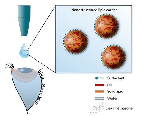 Design and Optimization of Nanostructured Lipid Carrier Containing ...