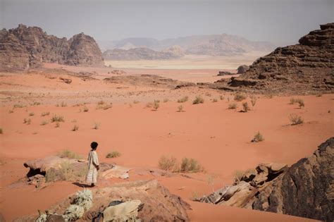 Adventure Film 的图像结果