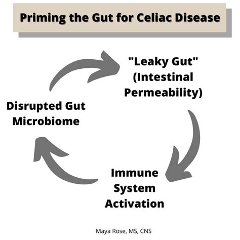 What causes celiac disease? - Gluten Free & Gut Health Nutritionist