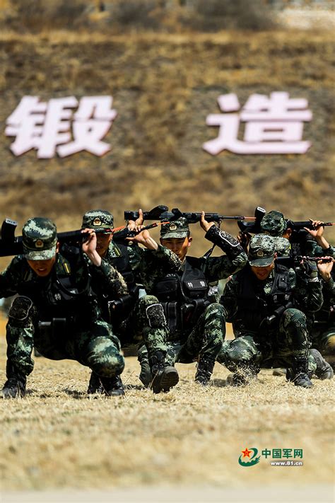 带你到现场：军校学员“毕业大考” - 中国军网
