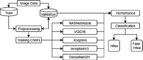 Classification Procedure 的图像结果