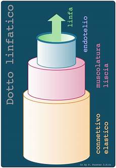 idraulica dispense idraulica circolatoria dispense medpop idraulica dispense idraulica circolatoria dispense medpop
