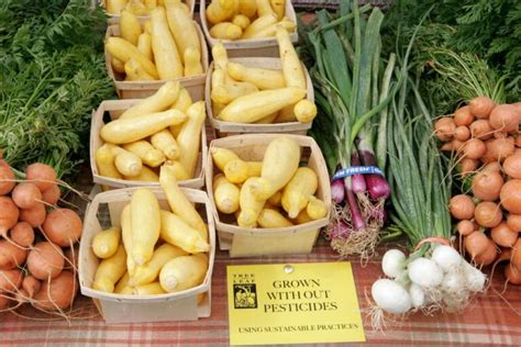 Local Food Movement Example 的图像结果