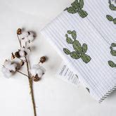 Collections – DMAASA