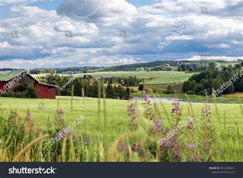 3,447 Finnish farm Images, Stock Photos & Vectors | Shutterstock