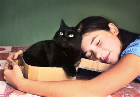 女人梦见黑猫（女人梦见黑猫什么意思）