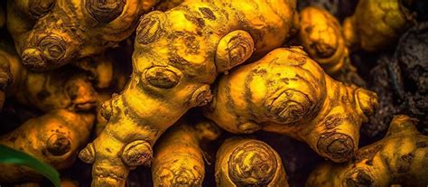 The Golden Spice Chronicles: Unveiling Turmeric's Secrets – Maigreens