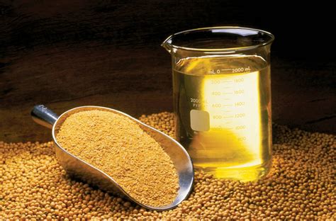 High Oleic Soybean Oil