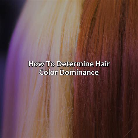 What Hair Color Is Dominant - colorscombo.com
