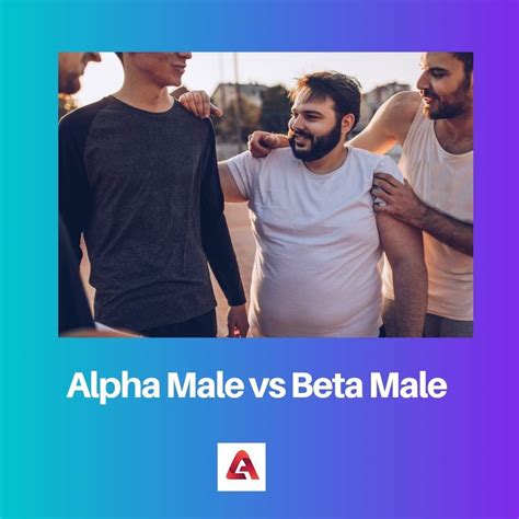 Alpha vs Beta Male : différence et comparaison