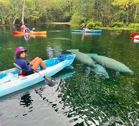 Manatee Park MANATEE SPRINGS STATE PARK (2025) All You Should Know