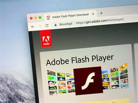 Adobe Flash and JavaScript 的图像结果