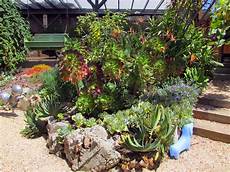 Low Water Garden by Succulents And Low Water Gardens Archives Magic Gardens Low Water Garden