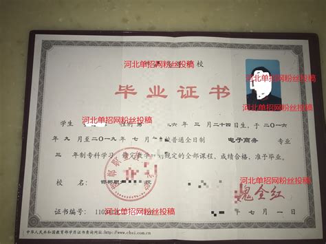 肇庆工商职业技术学院-毕业证样本网