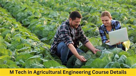 Which Is Better Agriculture Or Engineering at Kenton Florence blog