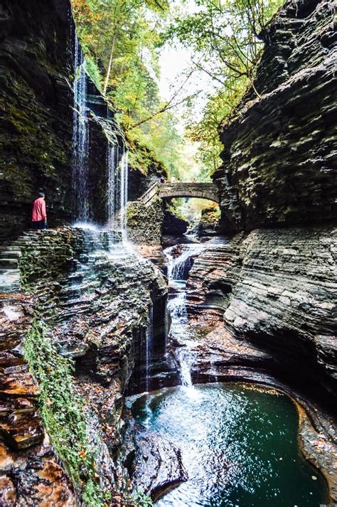 Finger Lakes Camping Grounds: Best Spots & Reservations
