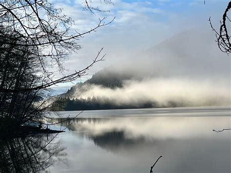 Lake Whatcom Park - Hertz Trail, Lake Whatcom Park - Chanterelle Trail ...