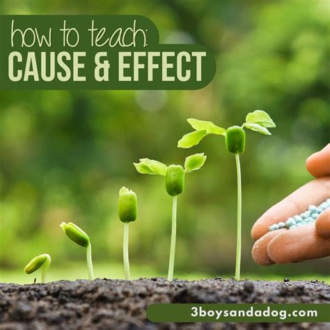 The Importance of Teaching Cause and Effect - 3 Boys and a Dog