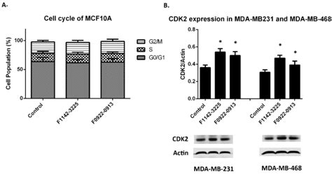 CRIF1-CDK2 Interface Inhibitors Enhance Taxol Inhibition of the Lethal ...
