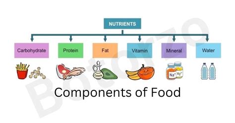 Science Components of Food 的图像结果