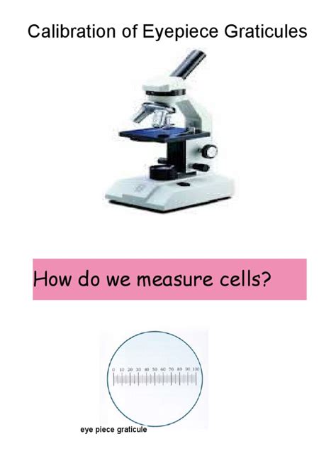 Image result for Microscope Calibration Procedure