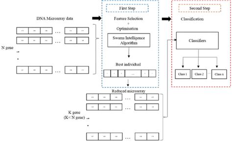 Microarray Analysis Explained 的图像结果