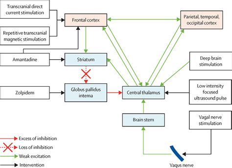 Therapeutic interventions in patients with prolonged disorders of consciousness - The Lancet ...