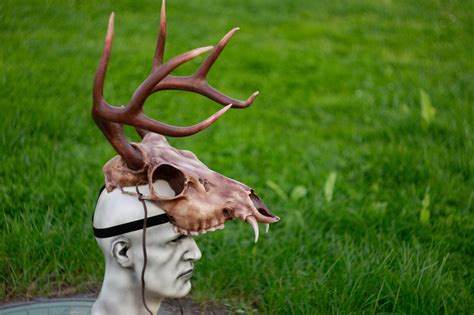 Pagan Ritual Deer Skull Headdress, Musk Deer Antler Headpiece, Cosplay ...