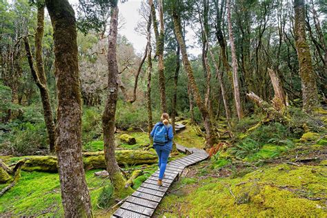 A Guide To Visiting Australia Based on Your Style of Travel
