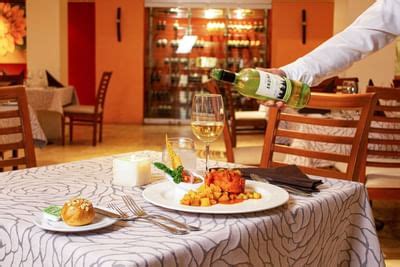 Puerto Vallarta Hotel Gallery | Plaza Pelicanos Grand Beach Resort