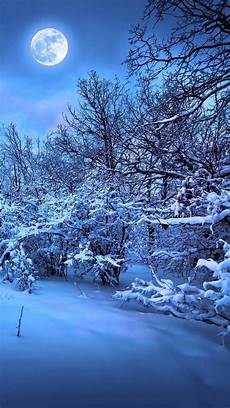 Winter Winter Background by Winter Themed Backgrounds 183 Wallpapertag Winter Winter Background