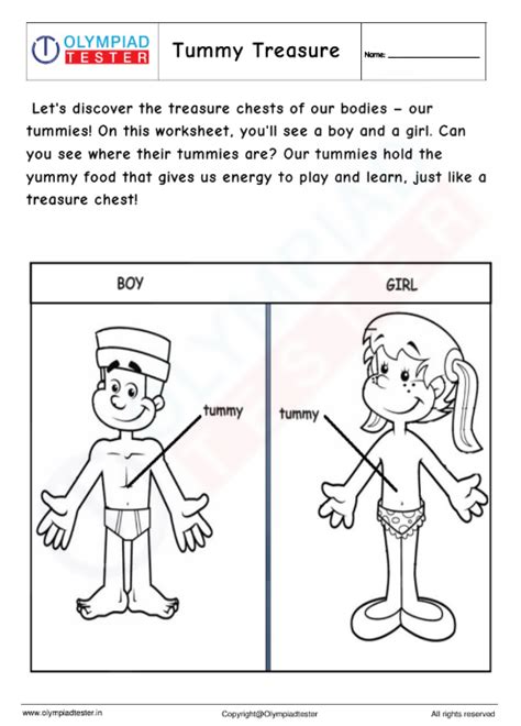Kindergarten Worksheet - Tummy Treasure | Olympiad tester