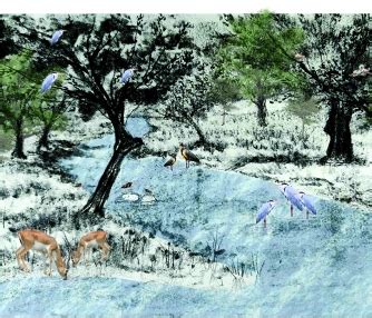 Scouting for water points | CEPT - Portfolio