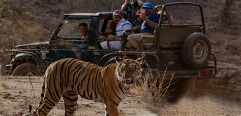 Ranthambore National Park, Ranthambore Tiger Reserve & Ranthambore ...