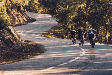 Road Bike Cycling 的图像结果