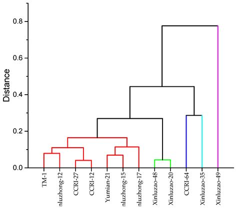 Genotypic Variation in Cotton Genotypes for Phosphorus-Use Efficiency